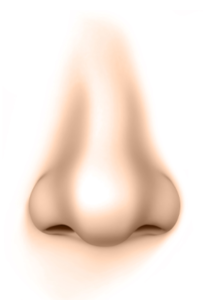 プロテーゼ透け