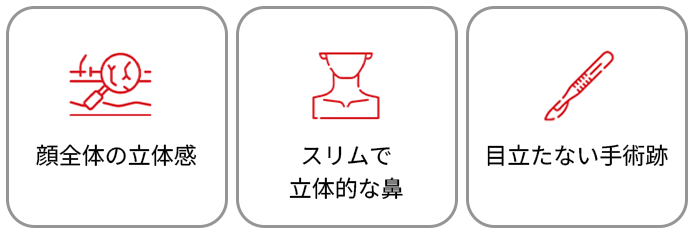 VVLY整形外科 鼻再手術のポイント