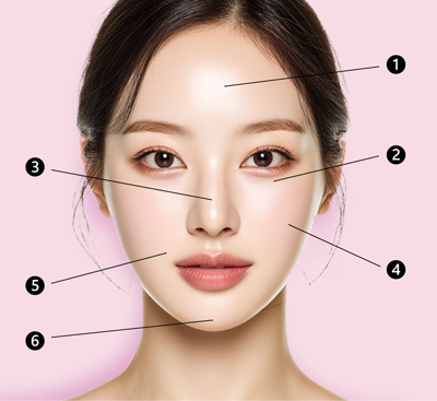 脂肪移植 適用部位