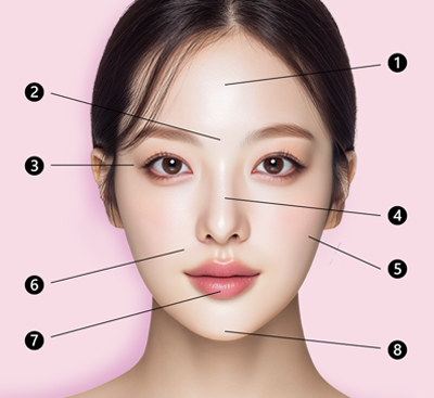 フィラー注入部位