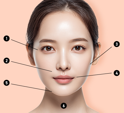 顔面リフト適用部位