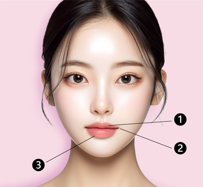 リップフィラー 施術部位