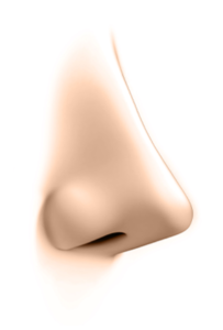 アバター鼻 高すぎる鼻