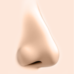 アップノーズ改善