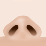 鼻筋デザイン
