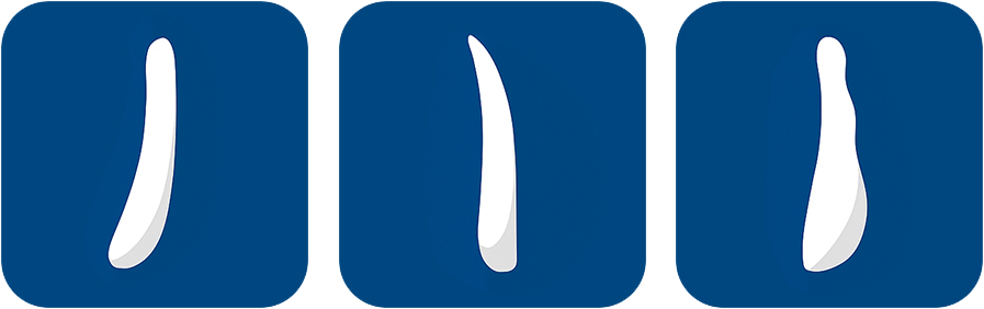 プロテーゼの種類比較