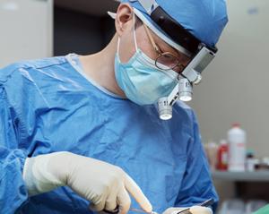 Bespokoカスタム手術